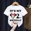Mickey Minnie Children T-Shirt Disney Birthday Number 1-9 Boy Girl Clothes Kid Kawaii Anime Cartoon Little Baby Casual Tee Shirt 3