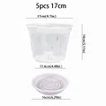 5pcs 17cm