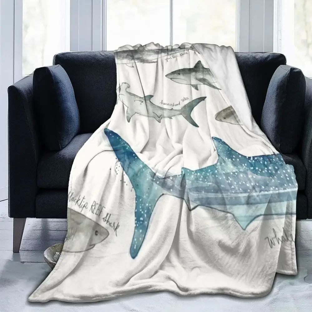 �ſ� �ε巯�� ķ�� ��� ǳ�� ������ ���, �ٴ� �ڿ� ����, ������ �ö��� ħ�뺸, ���� ����, ���� ħ�� Ŀ��