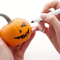 12-80 Colors Acrylic Paint Pens Markers Set Paint Art Marker Soft Tip Pen for Children Stone Paint Ceramic Glass Fabric Painting 3