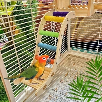 Frosted Cloud Parrot Ladder Toy 1