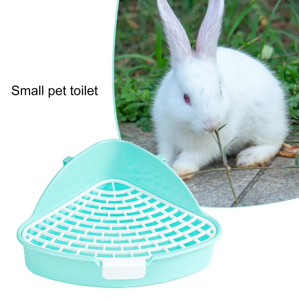Is Cat Litter Safe For Rabbits visitchile.cl