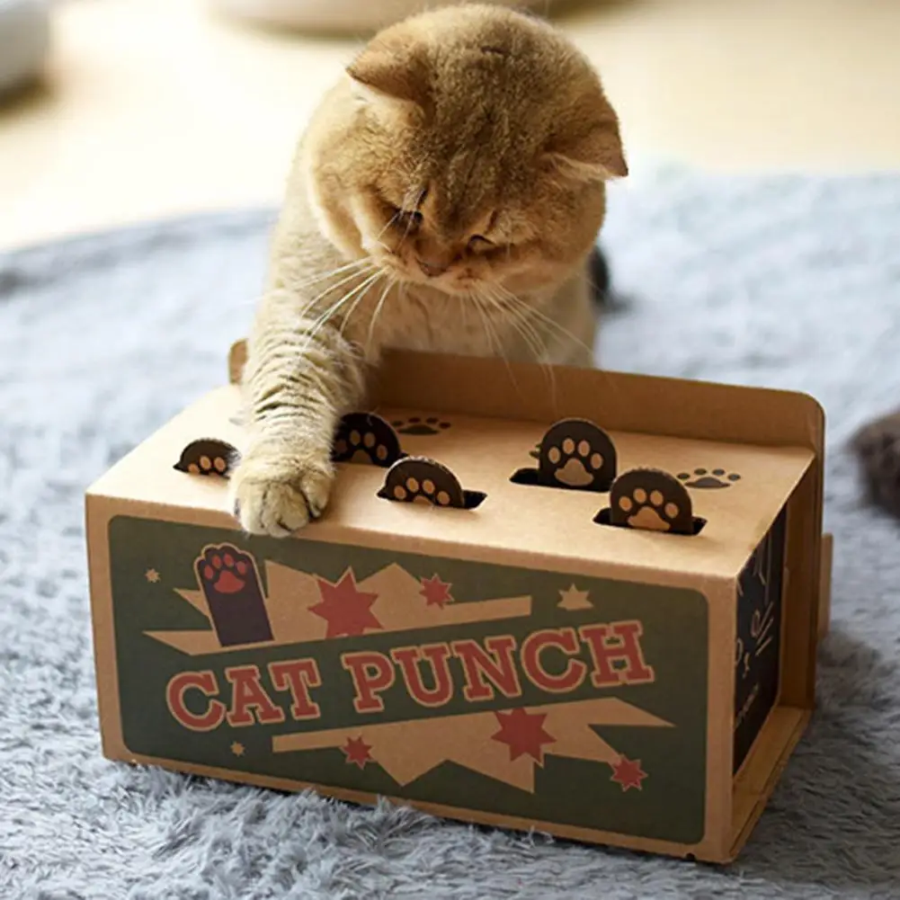 Cartone Interattivo Mole Mouse Gioco Giocattolo Fai Da Te Pop-Up Puzzle Esercizio Di Formazione Giocattoli Gatto Scratch Toy Pet Supplies