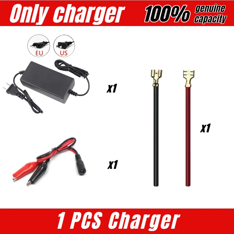 Only 12.6V charger