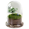 15*30cm Big Size Seperated Glass Dome Vase Home Decoration Transparent Higher Base Cover DIY Friend Gift Wedding Prop 4