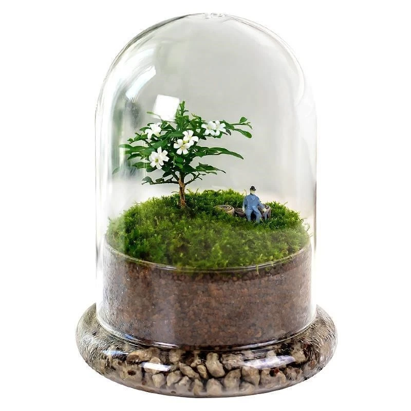 15*35cm Big Size Seperated Glass Dome Vase Home Decoration Transparent Higher Base Cover DIY Friend Gift Wedding Prop 4