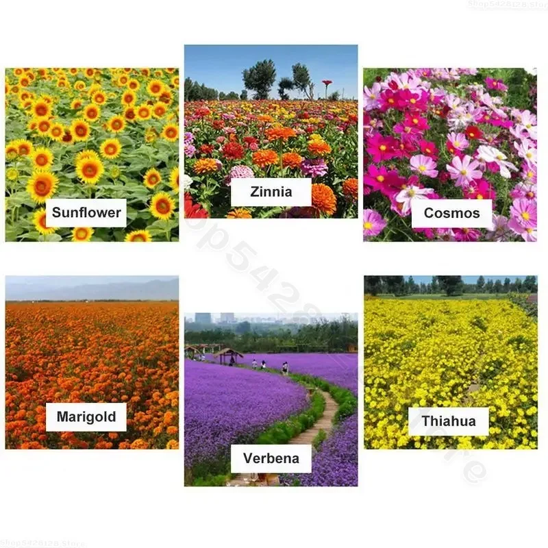 Aquatic Pond Soil Natural Lotus Mud With Nutrients Pond Potting Media For Aquatic Plants 200g