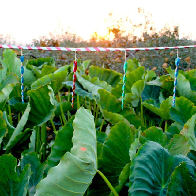 10Db Madárfogó Vízálló Fényszükségletű Madárcsökkentő Bot Biztonságos Függő Madár Taszító Csavar Kényelmes Kerti Dekorációhoz - Image 5