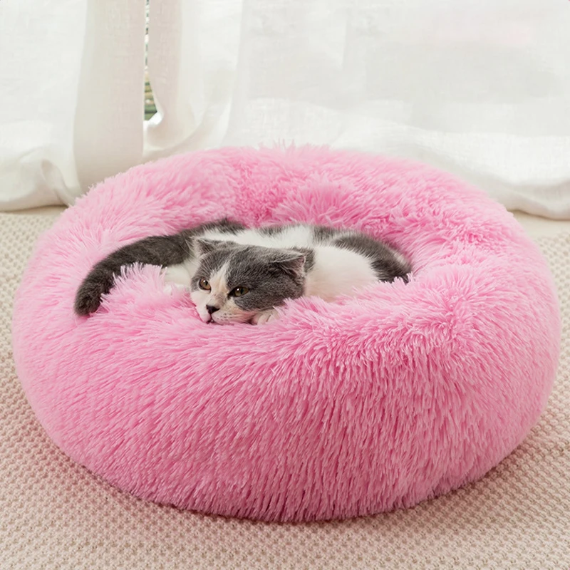 bright pink