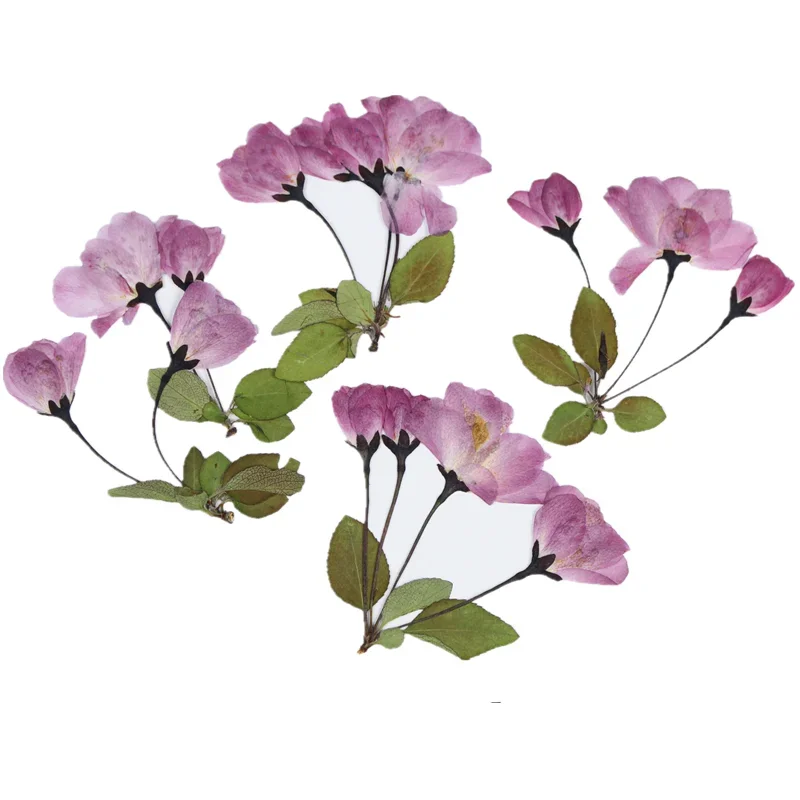 9pcs A with stem