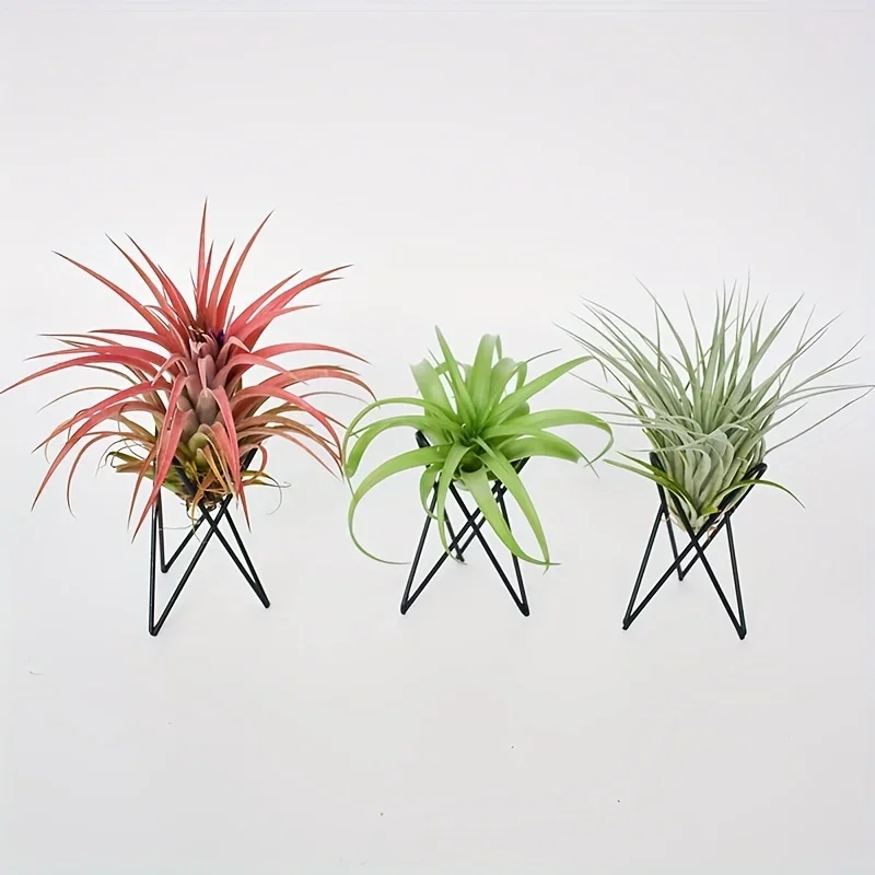 European Style Mini Desktop Flower Rack Metal gardens