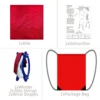 High Quality  2.5m Red Dual Line Parafoil Kite  WithFlying Tools Power Braid Sailing Kitesurf Rainbow Sports Beach 4