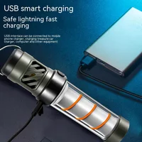 Multi-function Camping Mosquito Lamp Rechargeable Portable LED Flashlight Outdoor Lighting Mosquito Repellent Light with Tripod 5