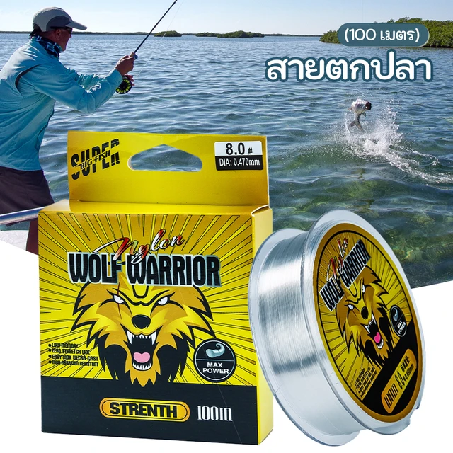 100m Nylon Fishing Line Fluorocarbon Coated Super Strong Abrasion Resistant  Fishing Wire Carp Bass Sea Fishing Accessories - AliExpress