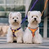 Small Medium Dogs Harness Vest Walking Traction Rope Reflective Straps, Soft Mesh Harness Breathable Pet Supplies 2