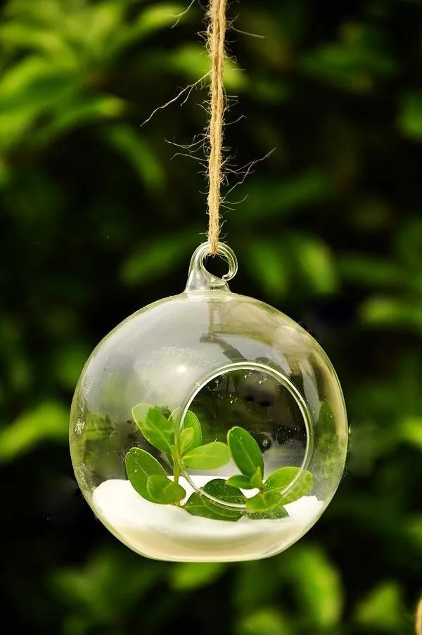 Saffbd3a7a5404eb7b8b0f47330f87331T