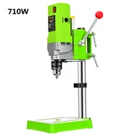 220V 710W Mini Bench Drill Electric Bench Drilling Machine Metal Making Drilling Drill Chuck 1-13mm Carpentry Drill Press 1