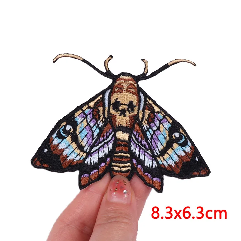 PE7972CT