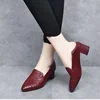 2025 New Spring Women's Pointed Point Medium Thick Heel Shallow Mouth Single Shoes Fashion Soft Leather Embroidered Work Shoes 4