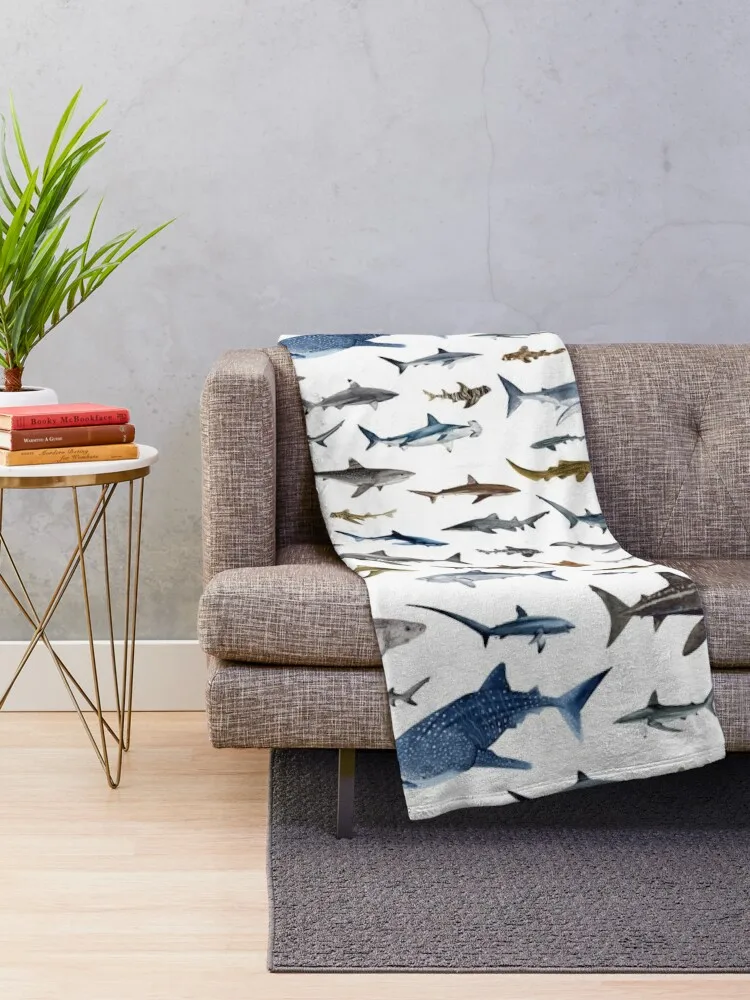 SHARKS ������ ��� ������ ���, ���� ��Ʈ, ���� ���, �ڽ����� �ִϸ��̼� ���, ���� ���