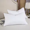 Pillowcases For The Living Room Multiple Sizes Pillow Cover Soft Comfortable PillowCase For Adults Kids 30X50cm 40X60cm 48X74cm 2