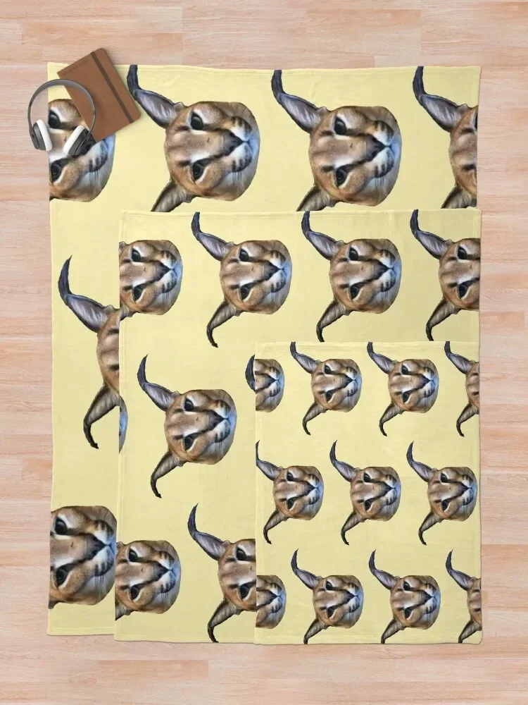 ū �÷��� ������ ���, ������ �ܿ� ���� ���� ���� ���,  ��� �����̳�