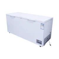 Best-selling two-door commercial best-selling food storage freezer 1