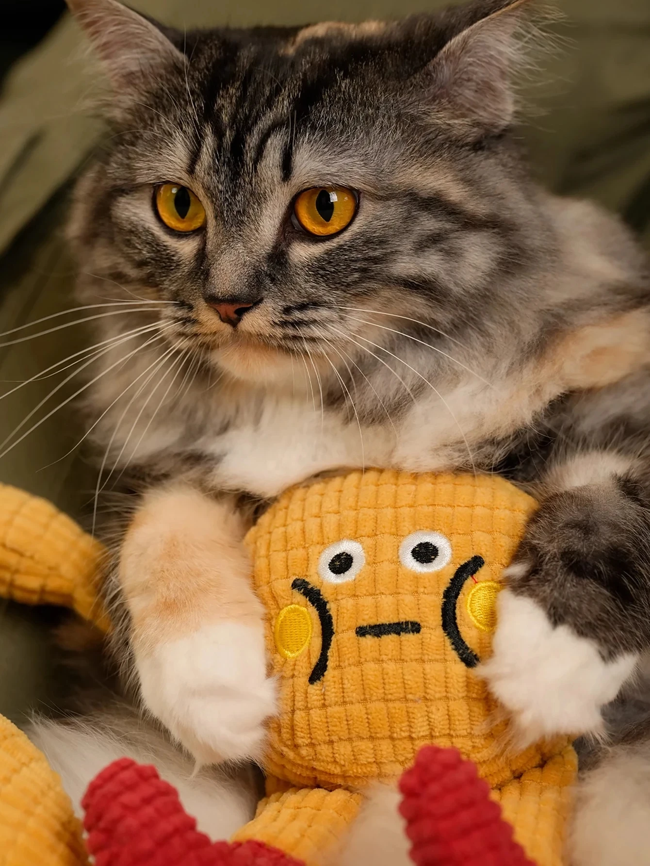 Cute Squeaky Cat Dog Chew Toy for Teeth Cleaning Interactive Self Play Durable Biting Pet Fun