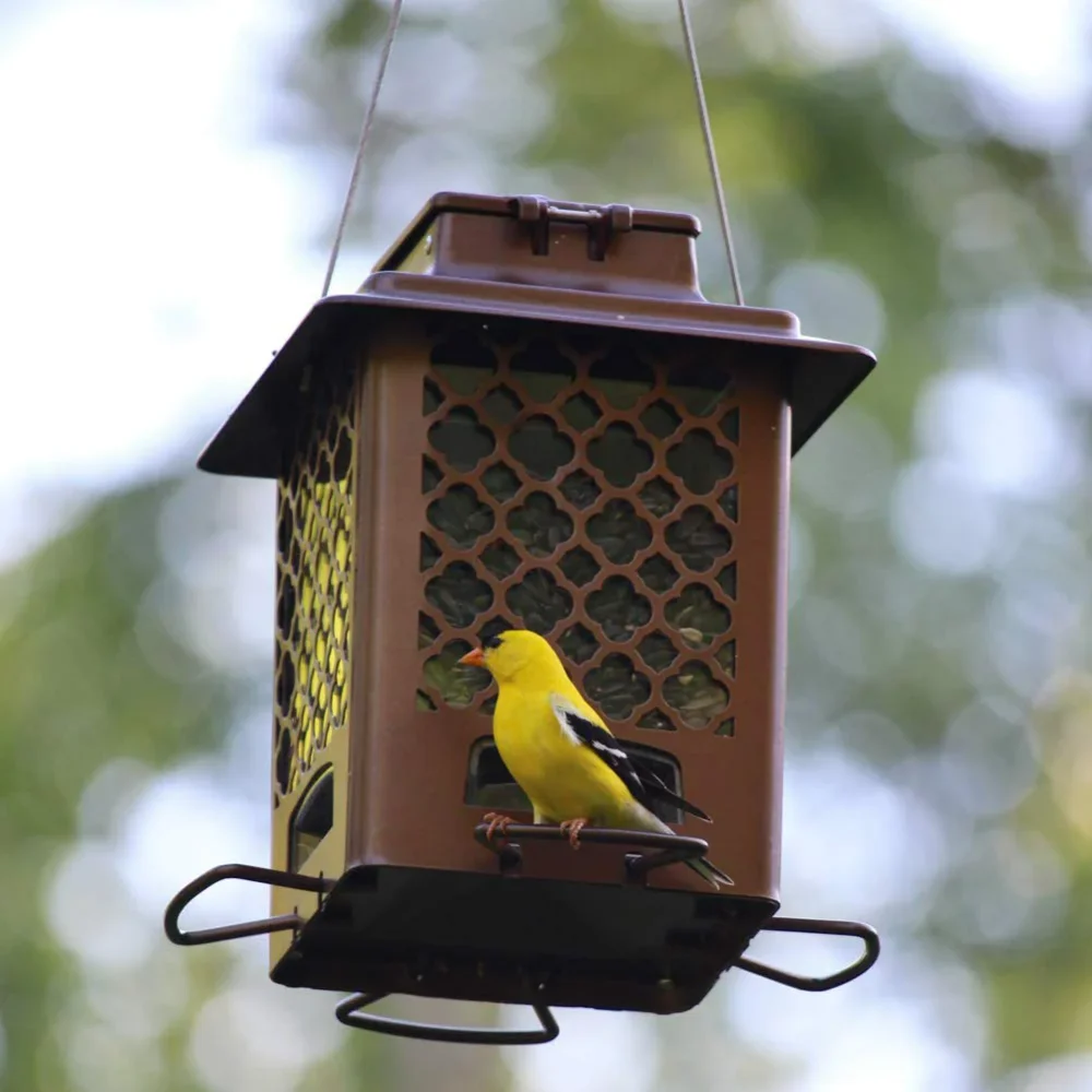 

Birds Bronze Metal Hopper Sunflower Bird Feeder, 3.6 Lb Capacity