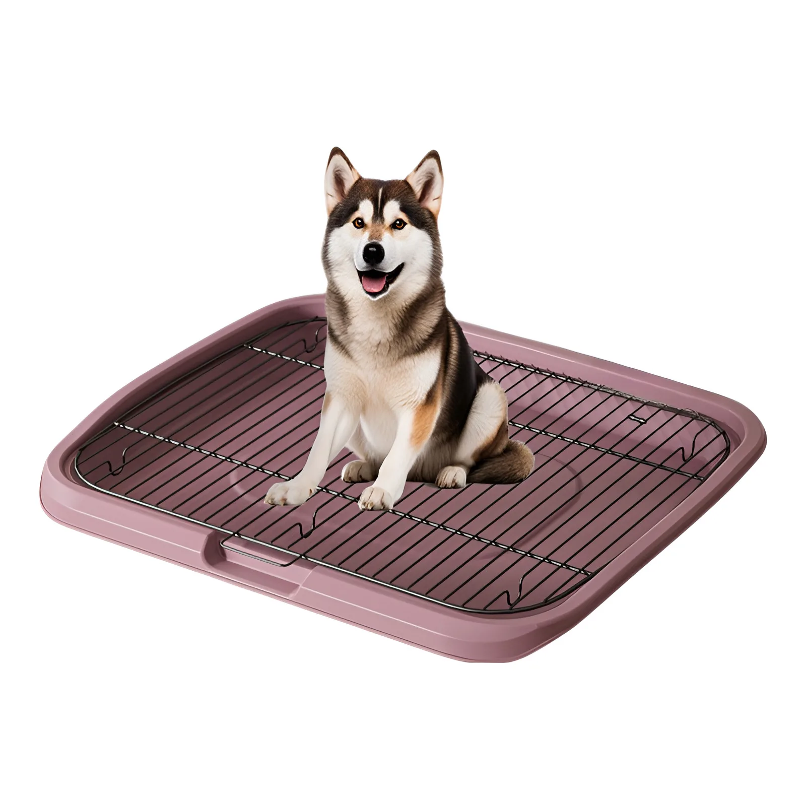 30kg-Pink