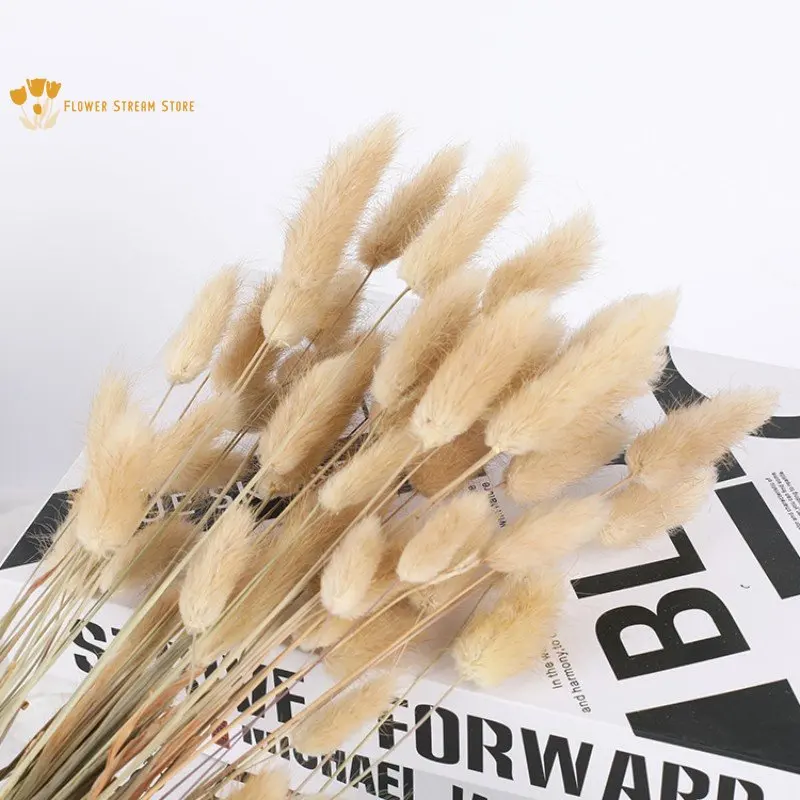 

80Pcs Natural Rabbit Tail Grass Boho Home Accessories Fluffy Pampas Grass Dried Flowers Bouquet for Wedding Table Decoration