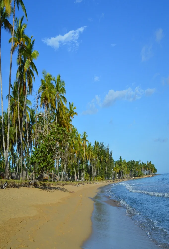 Laeacco- غ ڳ ڼ  ʻȭ  ,     