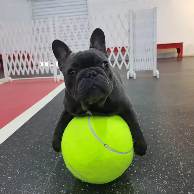 Jumbo Dog Tennis Ball Toy 1