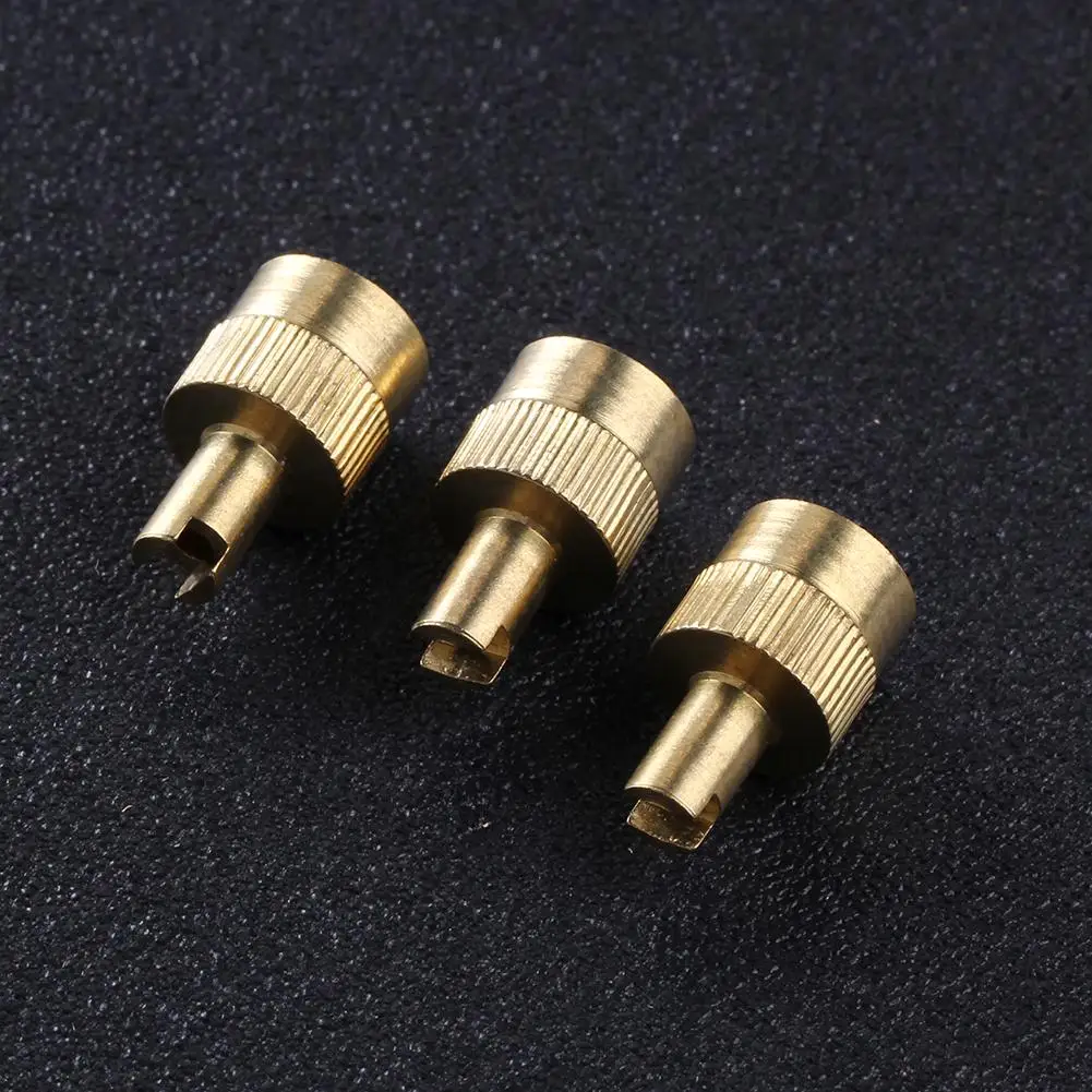 8pcs Copper Slotted Head Valve Stem Caps with Core Remover Tool for Car Motorcycle Wheels Tires Accessories
