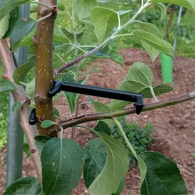 100Db Gyümölcsfa Ágak Tartó Gyümölcsök Ág Szóró Fa Támogatása Támogatja A Bonsai Szerszámokat Az Udvarra - Image 6