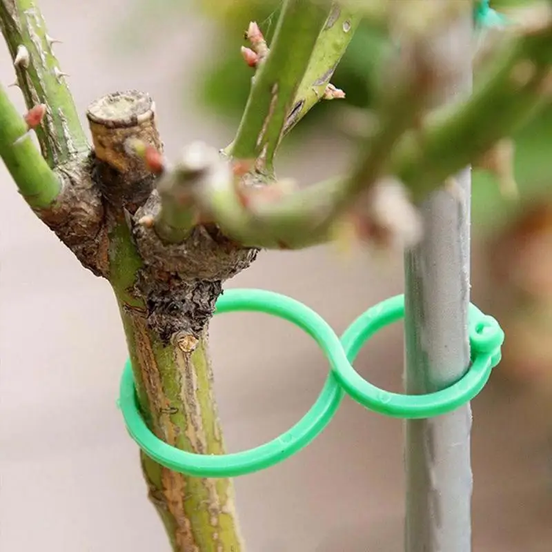 

Garden Plant Clips Vegetable Growing Upright Plant Holder Green Plastic Bundled Ring Vine Support Garden Standing Tools