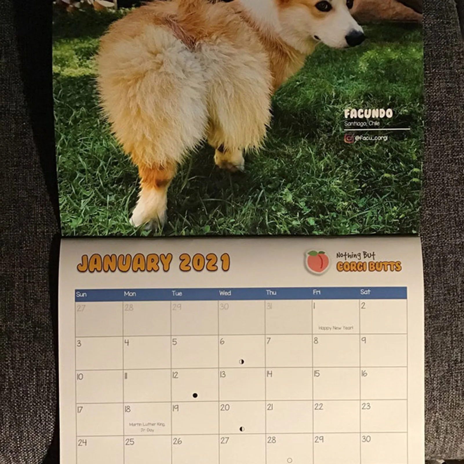 corgi advent