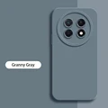 Granny Grey