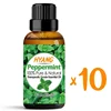 Peppermint Essential Oil (100% PURE & NATURAL) Therapeutic Grade - Perfect for Aromatherapy, Relaxation, Repel Mice & Pests,More 6