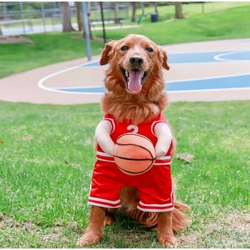 Basketball Dog Costume T-Shirt 1