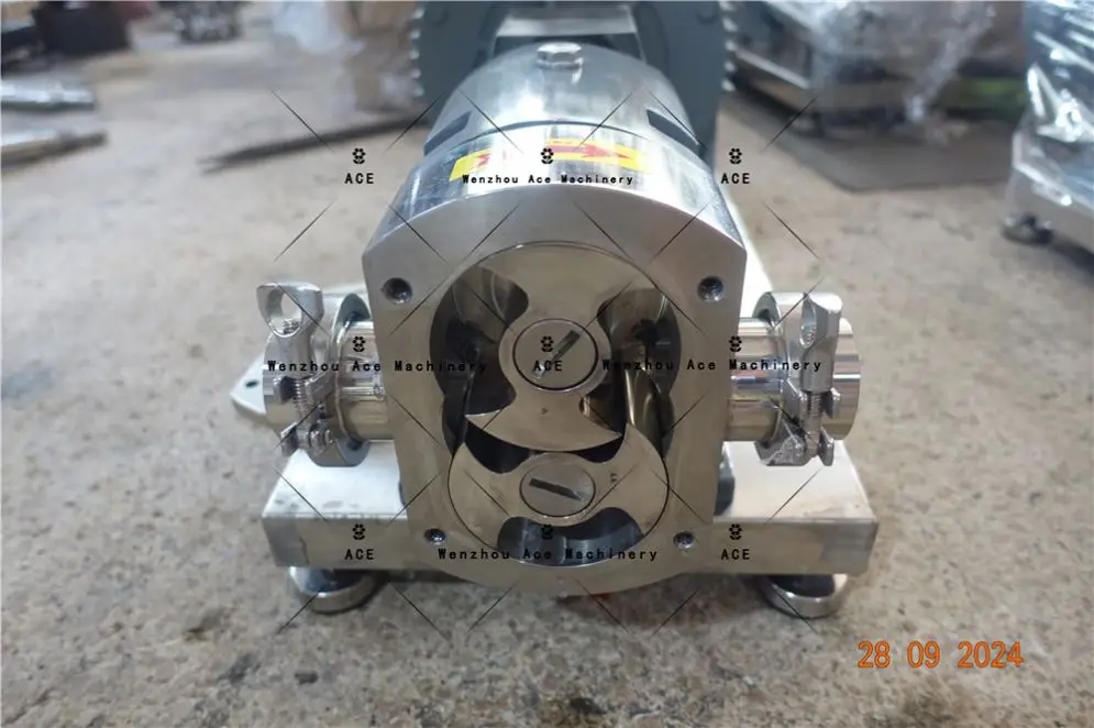 Rotor Pump Asphalt,Grease,Lubricating Oil Ect Delivery Internal Gear Pump