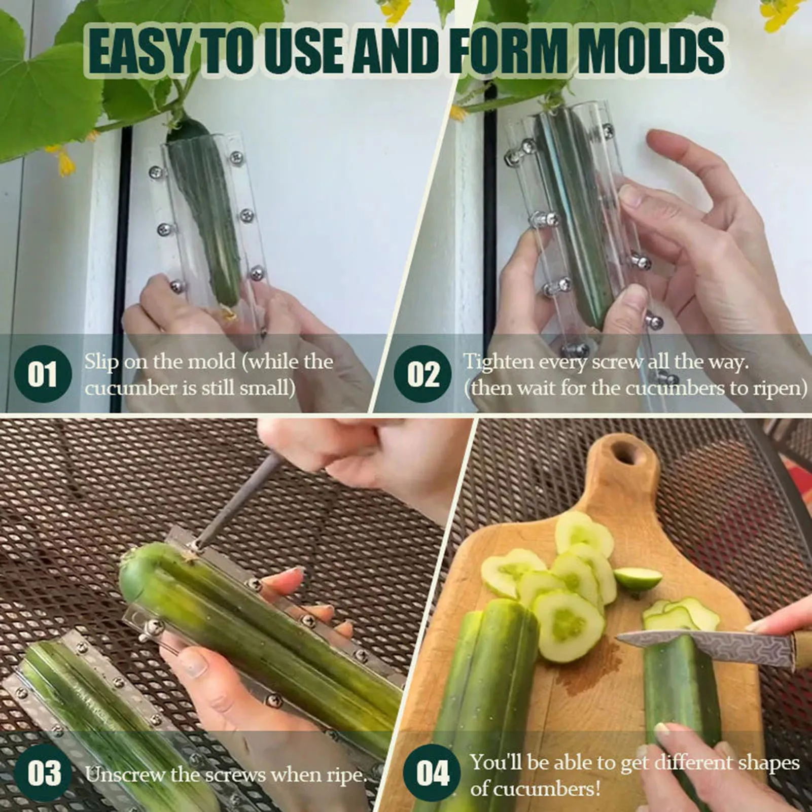Fruit Shaping Growing Mold Easy to Store and Carry Out Transparent Mold Suitable for Growing Application