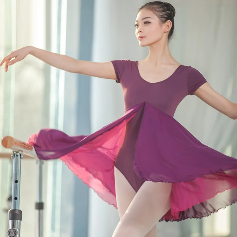 

Wholesale High Quality Women Adult Girls Dance Practice Wear Ballet Dress Ballet Leotard With Skirt