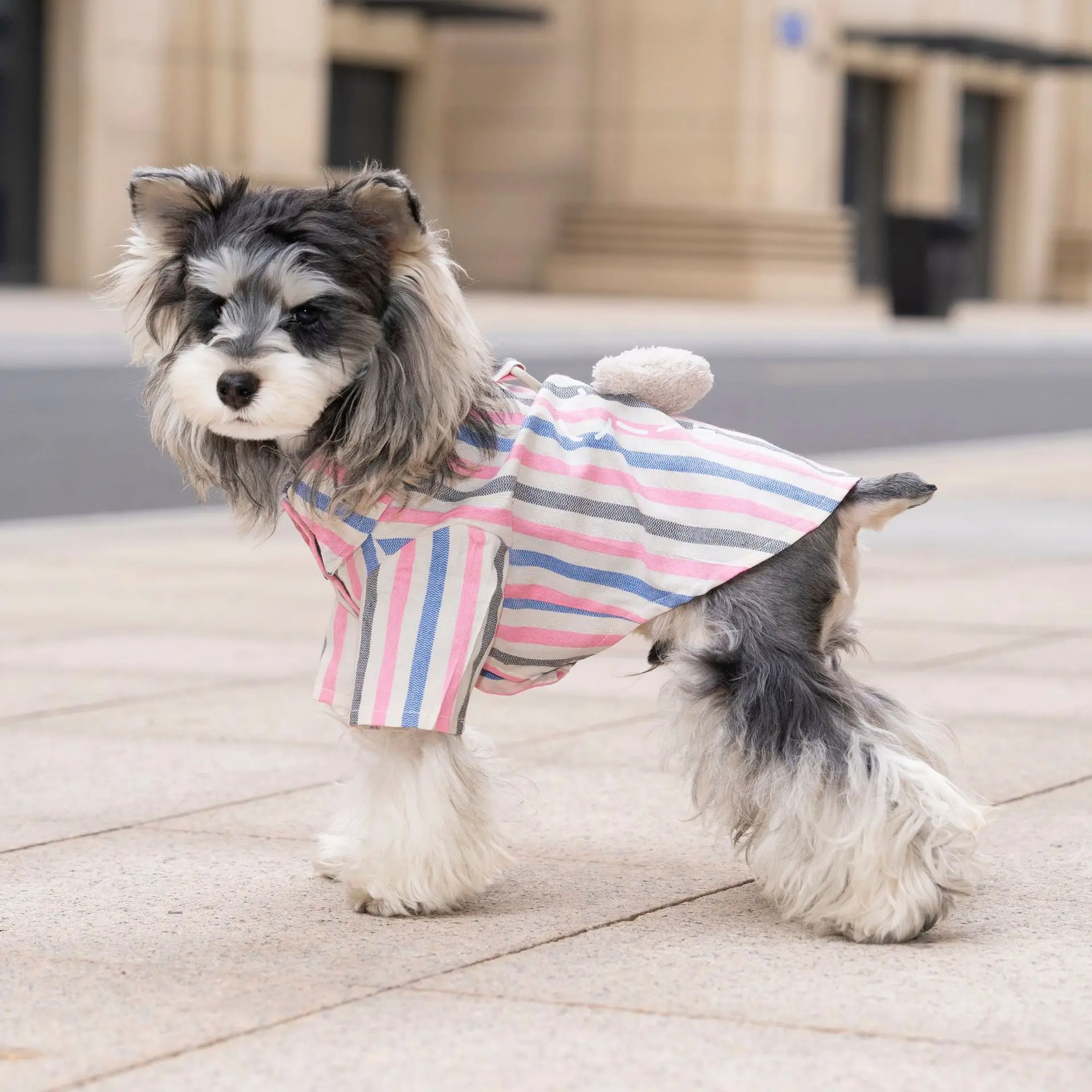 T-shirt rayé en coton pour chien vêtement respirant pour chiot_voghion.com