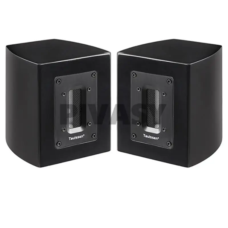 60W 6Ohm Nuovissimo Nastro Indipendente Per Febbre Super Tweeter Tweeter Esterno Altoparlante Passivo Sound Box Extension