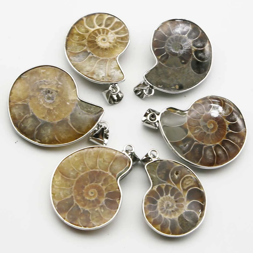 

Quality Natural Snail Shell Pendants Sea Conch Whelk Sliver Edge Necklace Fashion Charms Jewelry Gift Accessories Wholesale 6Pcs