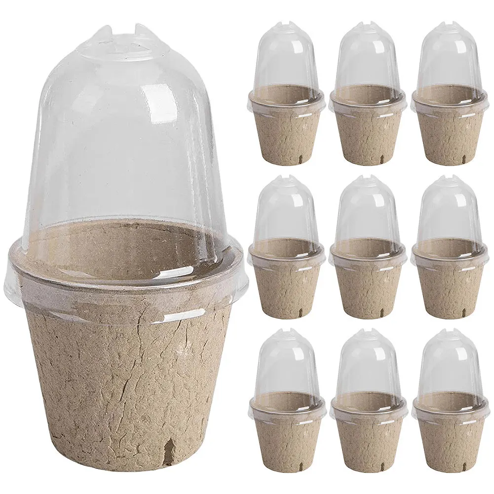 Seedling Box 10Pcs Transparent Lid Biodegradable Plant Growing Cup