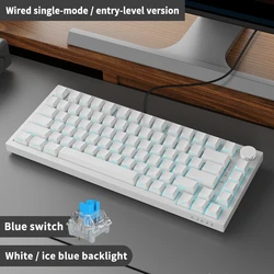 Enhanced Gaming Mechanical Keyboard 82 Keys | Wired, Bluetooth, 2.4GHz Wireless | Custom Gasket Design (Wired White2)