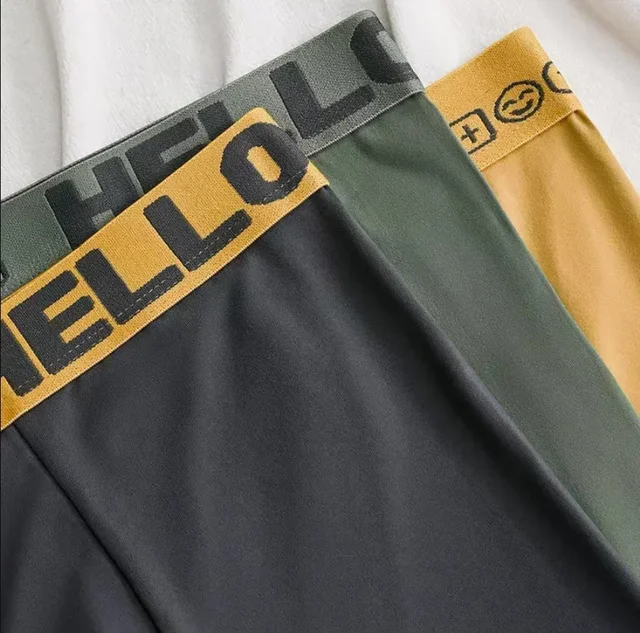 Ropa interior para hombre, calzoncillos Boxer elásticos cómodos y transpirables de secado rápido, calzoncillos sexys, bragas Boxer de moda para hombre, 1/5 Uds. 3