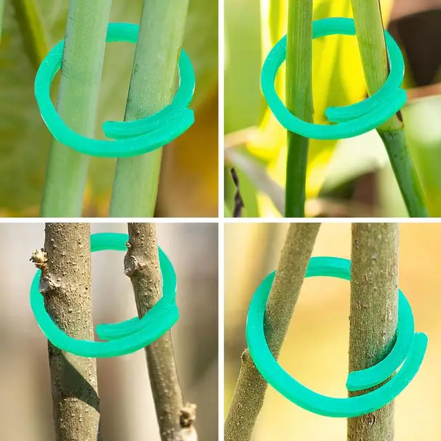 Növényi Csavarás Klip 100Db Zöldségek Paradicsom Szőlő Virág Klipek Csavaráskert Kerti Más Szőlőüzemekhez A Hegymászáshoz - Image 2